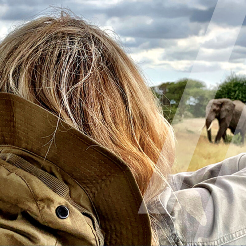 fs-blog-q1-newsletter-header