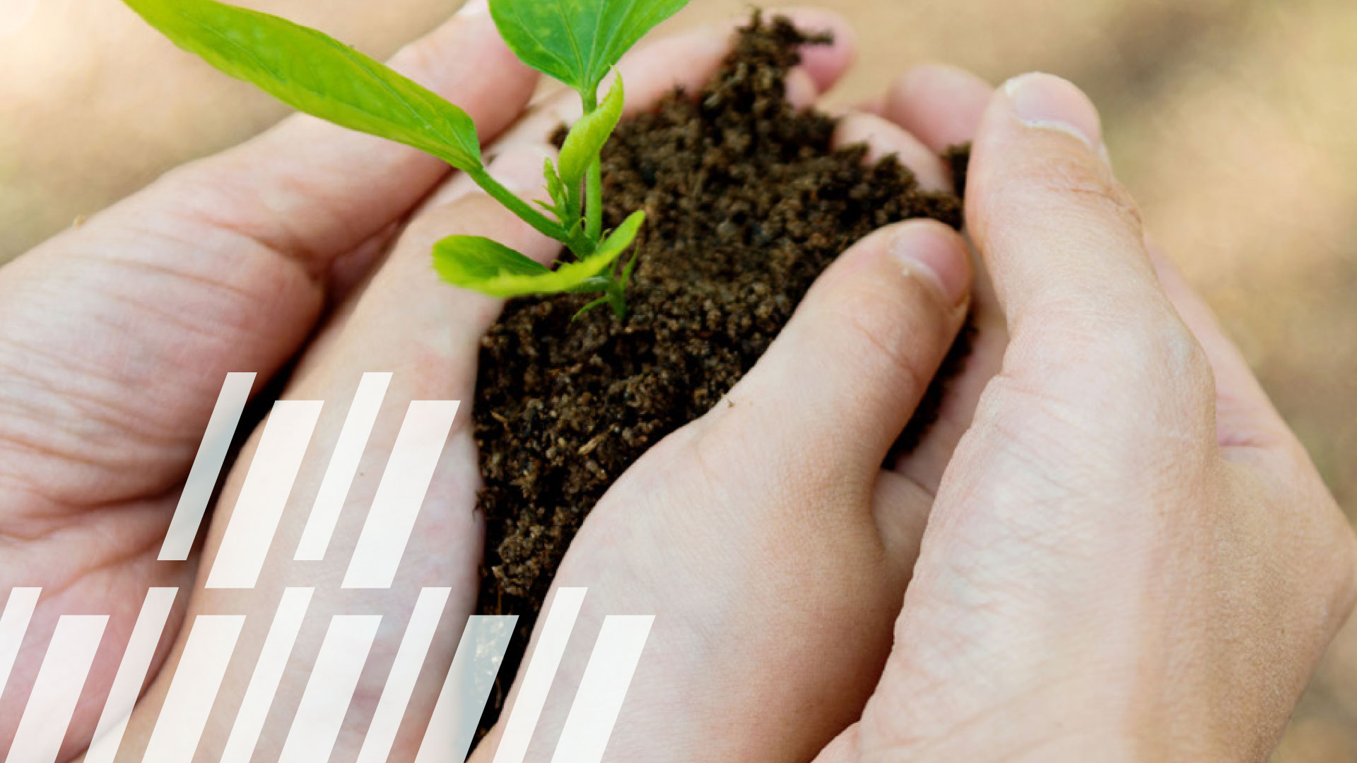Pivotal Philanthropic Stages: A Look at the Lifecycle of a Foundation – Key Takeaways